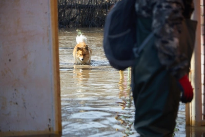 Паводок угрожает свыше 300 населённым пунктам Воронежской области