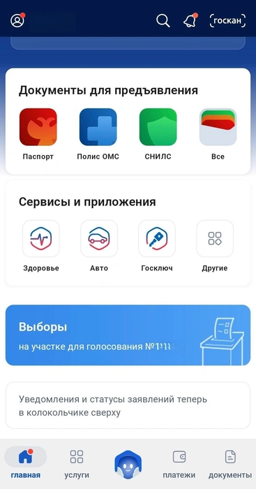Источник: «Госуслуги»