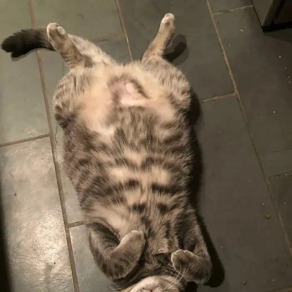 Источник: соцсети