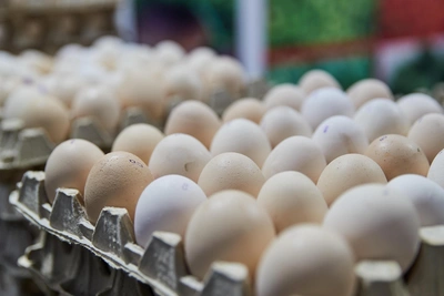 Воронежцы съедают почти 300 яиц в год