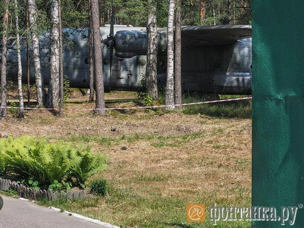 Тайна самолета из леса. (фото) | Источник: Михаил Огнев/"Фонтанка.ру"