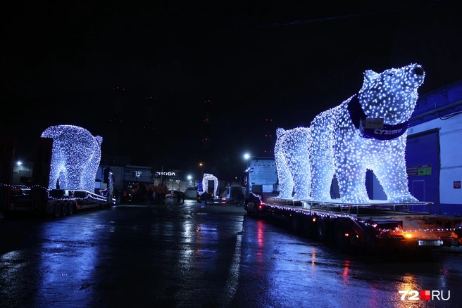 Помните, как зовут тюменских мишек? | Источник: Ирина Шарова / 72.RU
