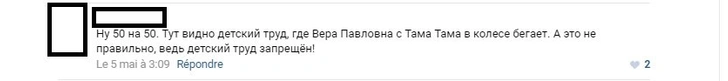 Сексизм и эксплуатация детского труда в новой серии «Простоквашино»: пользователи соцсетей негодуют