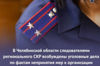 Уголовные дела за нападения бездомных собак в Челябинской области
