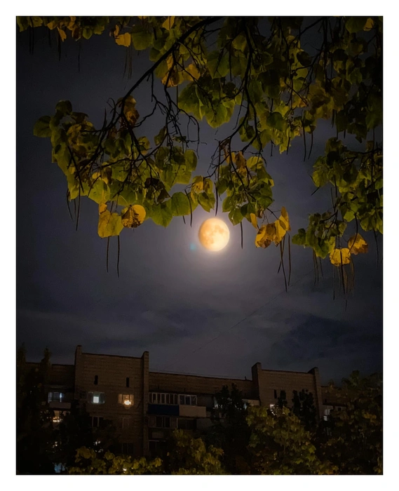 А вы наблюдали за суперлунием? | Источник: Юлия Воропаева