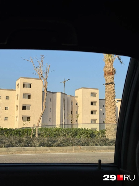 Источник: Валерия Богатырёва / 29.RU