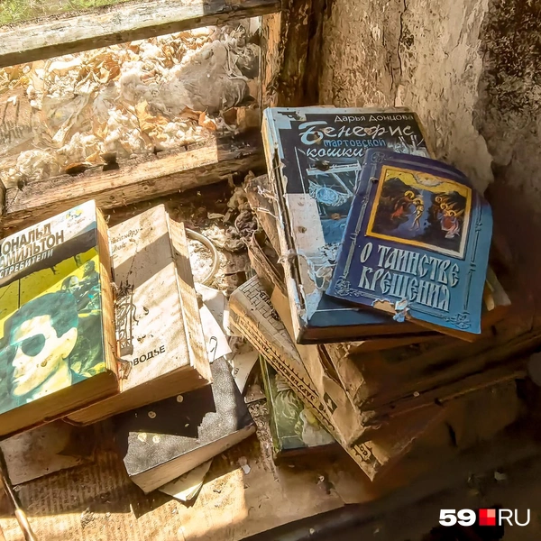 На подоконнике лежат книги | Источник: Василина Любимова / 59.RU
