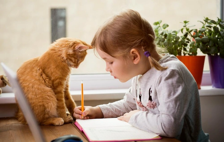 Источник: Shutterstock/Fotodom.ru