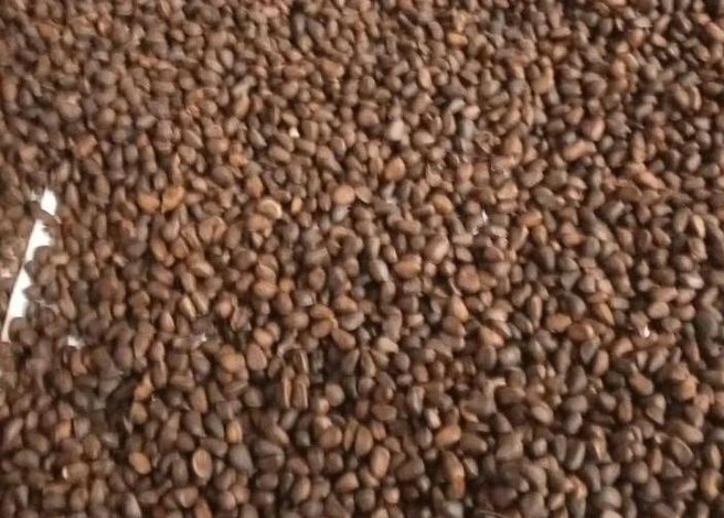 Источник: Объявление в одном из домовых чатов