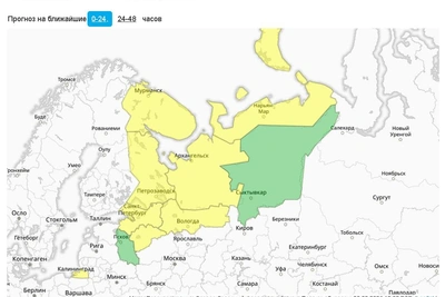 В Петербурге снег и ветер, объявлен желтый уровень опасности