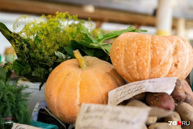 Рецепты из тыквы | Источник: Кирилл Поверинов / 76.RU