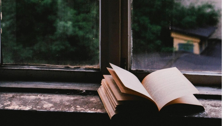 3 остросюжетные книги, которые помогут переосмыслить одиночество | Источник: Unsplash