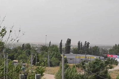 Пыльную бурю сняли на видео в Камышинском районе