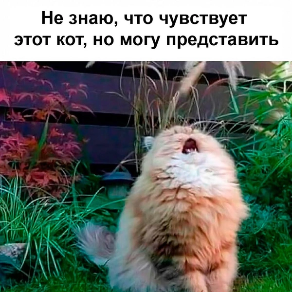 Источник: соцсети