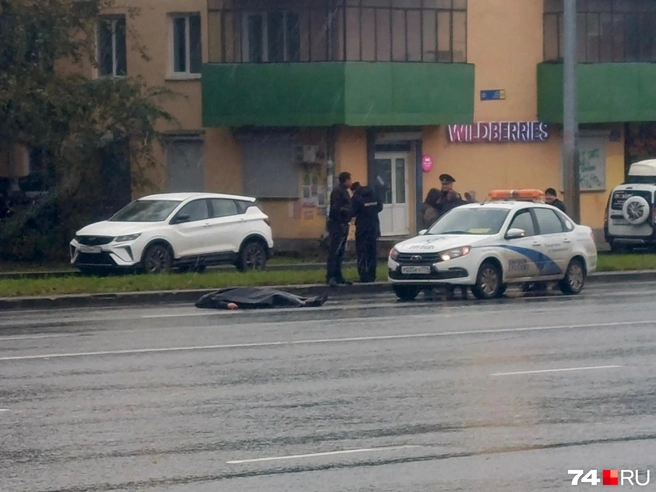 Убийство произошло накануне около 10 утра на улице Первой Пятилетки | Источник: читатель 74.RU