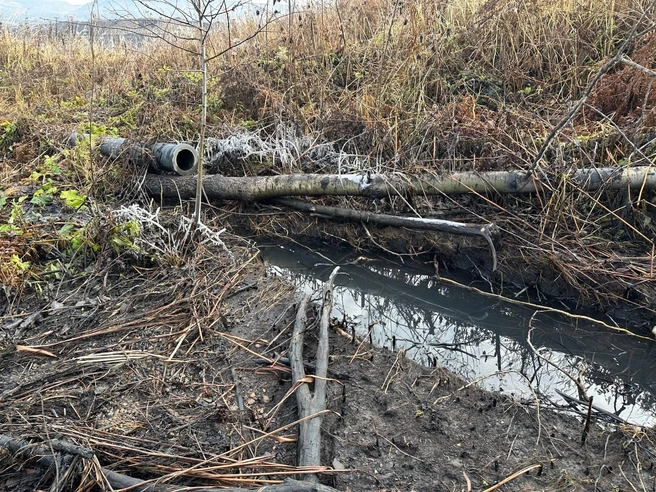 Плодородная почва была уничтожена  | Источник: прокуратура Кемеровской области