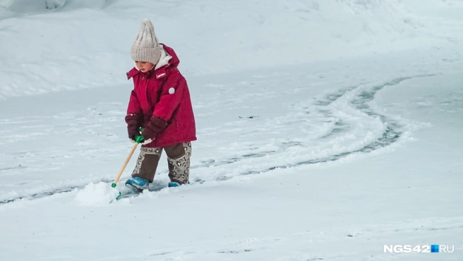 Источник: Лера Городецкая / NGS42.RU