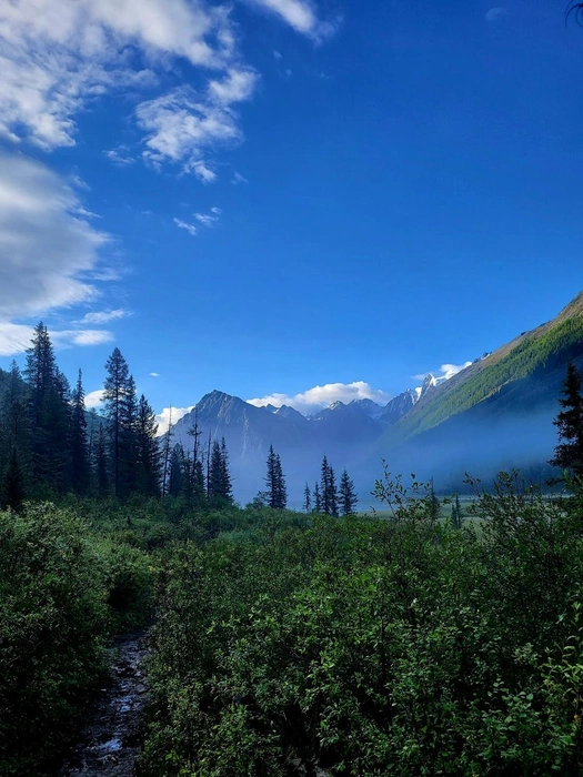 Поход по Алтаю — это отдельная жизнь | Источник: Вадим Резник