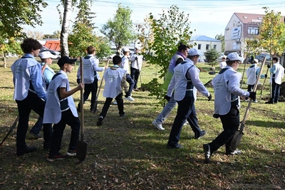 Пенза: высажено более 2300 деревьев и кустарников