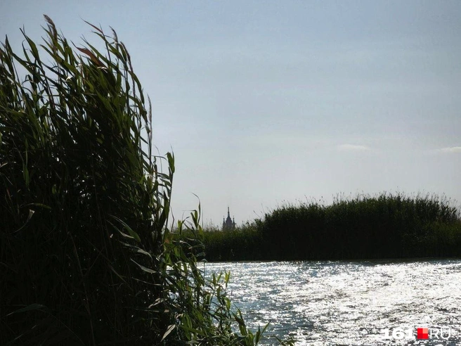 Источник: Григорий Ермаков / 161.RU