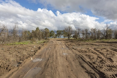 Адвокат: продажа земли для многодетных ведет к уголовному делу