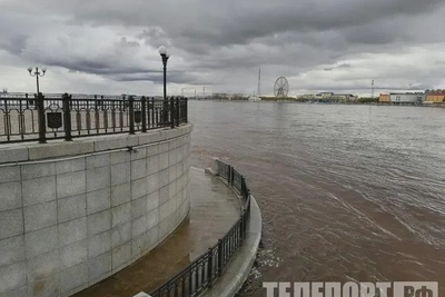 В реках Амурской области уровень воды может вырасти на метр