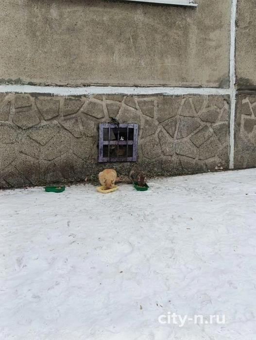 Источник: city-n.ru