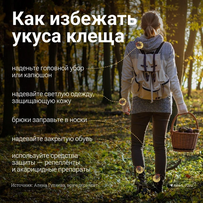 Памятка, как избежать укуса клеща | Источник: 72.RU