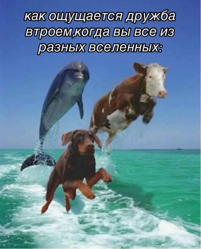 10 забавных мемов о дружбе — порадуй свою подругу
