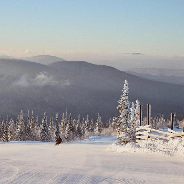 Источник: ООО «ИНФИНИТИ КАПИТАЛ»