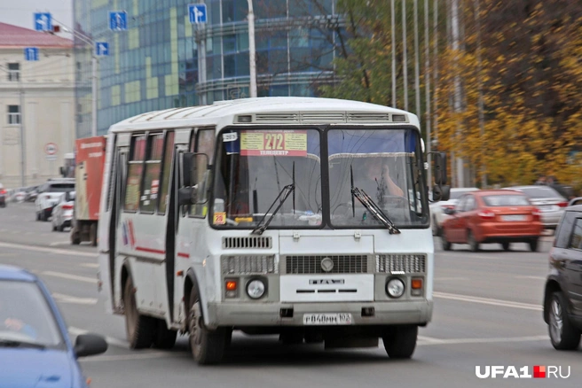 Против такого количества нелегалов бороться государственный перевозчик не может | Источник: Тимур Шарипкулов