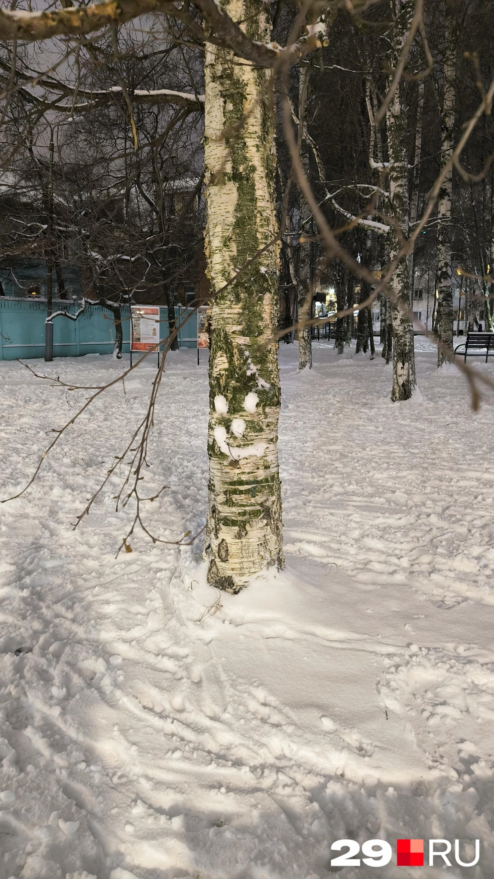 Источник: Юрий Скородумов / 29.RU