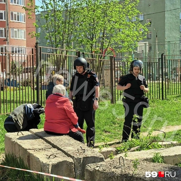 Источник: 59.RU