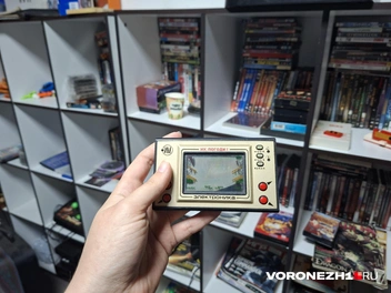 Источник: Алёна Воропаева / Voronezh1.ru