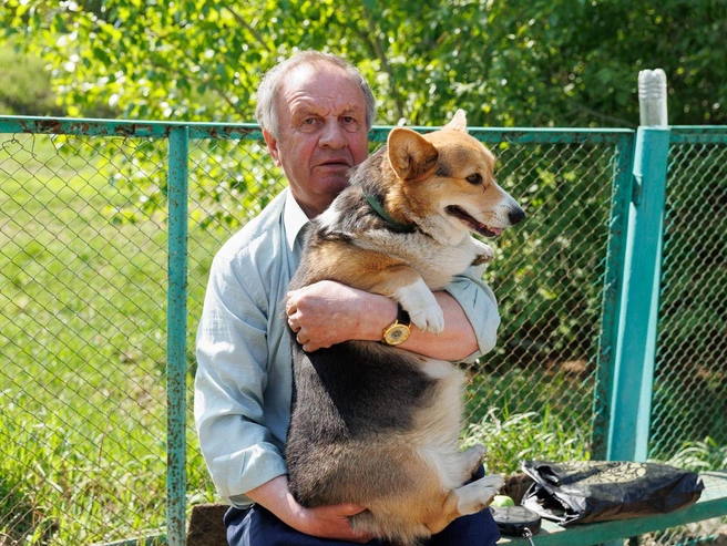 Сидор Федорович с корги Кубой, которую он ласково называет Кубик. Собаку подарил сын, уехавший в Санкт-Петербург. Имя выбрано в память о поездке сына на Кубу. | Источник:  Ирина Шарова / 72.RU 