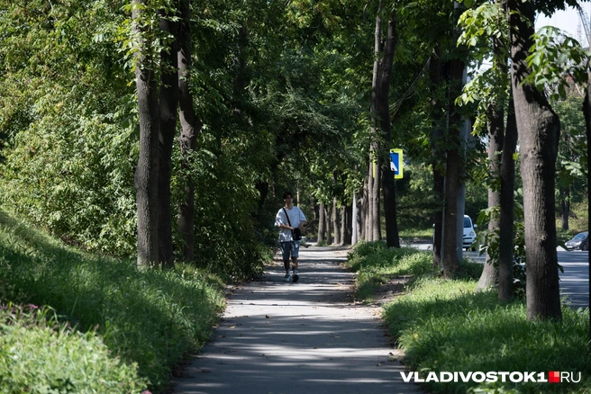 14-летний подросток пропал в Чите | Источник: Елена Буйвол / VLADIVOSTOK1.RU