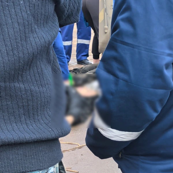 Источник: «Волгоград Красноармейский» / Telegram