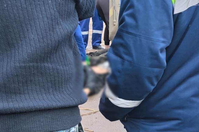 Глава ведомства поручил доложить ему о ходе проверки | Источник: «Волгоград Красноармейский» / Telegram