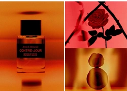 5 фактов о Contre-Jour — новом аромате Frederic Malle
