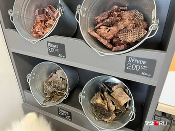 Источник: Анатолий Кузнецов / 72.RU