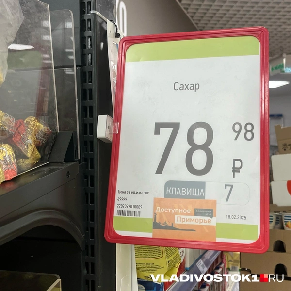 «Самбери» | Источник: Елена Буйвол / VLADIVOSTOK1.RU