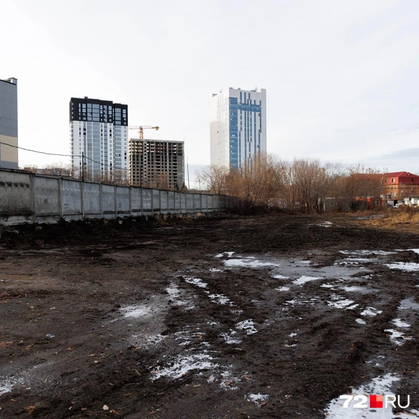 Вдали видны новостройки | Источник: Ирина Шарова / 72.RU