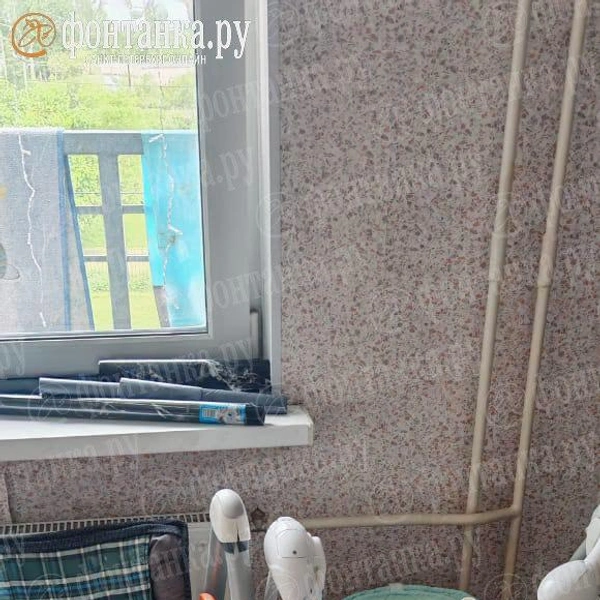 Источник: «Фонтанка.ру»