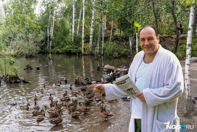 Перед Новым годом многие с удовольствием укатили бы вместе с инопланетянами в закат&nbsp;— от дедлайнов на работе, списков покупок, фотографий с корпоратива. Берите пример с Тони Сопрано: он смог найти покой в Академгородке | Источник: Юрий Орлов / Городские медиа