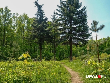 А так было в 2023 году | Источник: Булат Салихов / UFA1.RU
