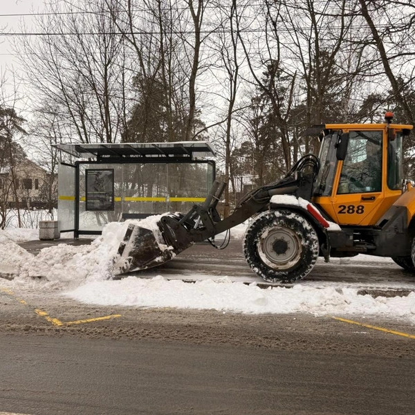 Источник: Комитет по благоустройству Петербурга