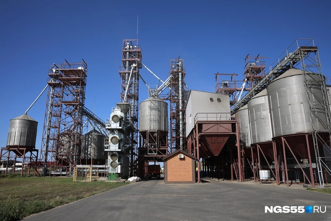 Мощности омских элеваторов ограничены  | Источник: Евгений Софийчук / NGS55.RU 