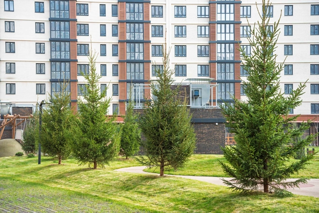 Сердцем жилого комплекса «Парк Победы» является бульвар с пышной зеленью | Источник: DOGMA