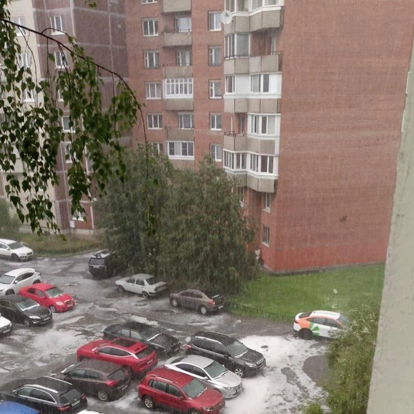 Источник: Питер 360 / Telegram