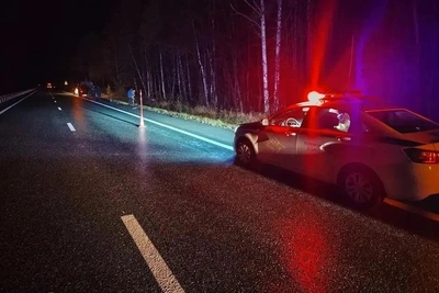 В Ярковском округе фура насмерть сбила женщину